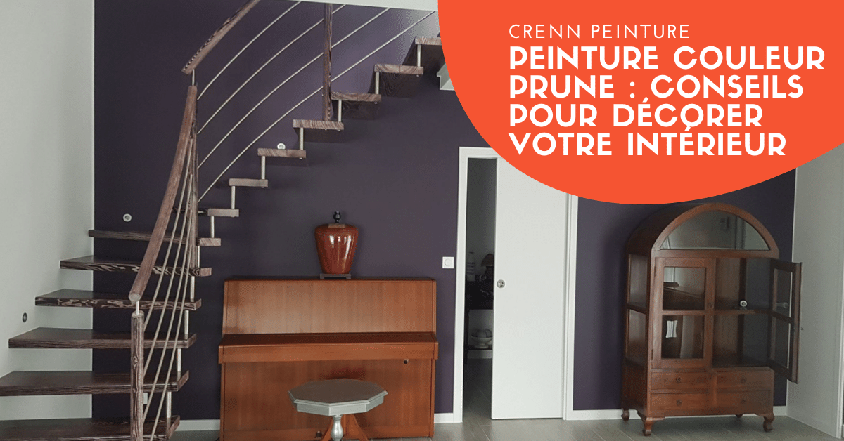 peinture intérieure couleur prune